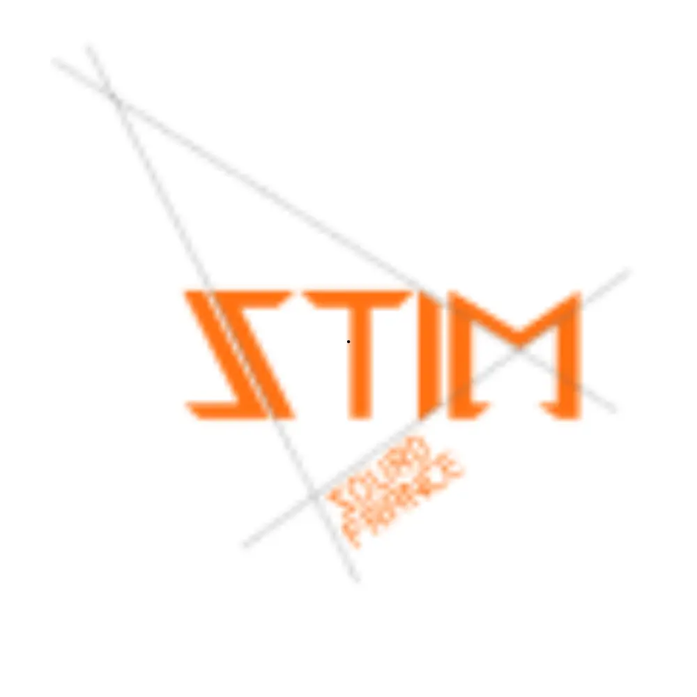 Logo STIM Sourd France (3)