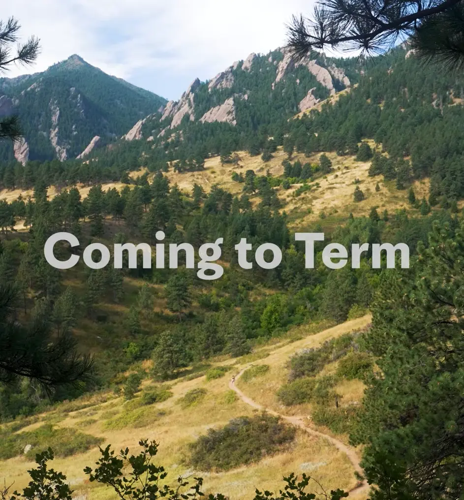 Coming to term - Anna Callaghan
